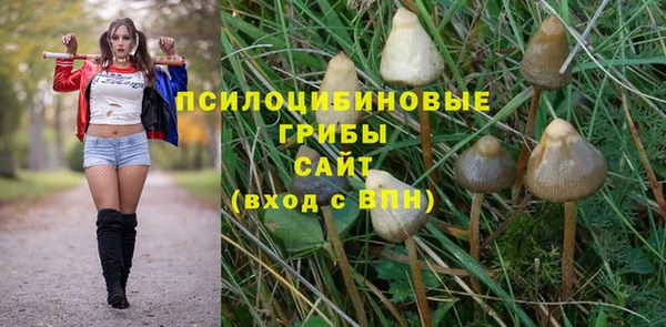 прущие крисы Аркадак